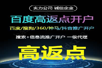 搜索引擎营销（SEM）竞价策略案例