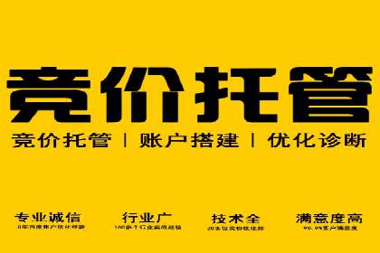 百度推广排名技巧：提升关键词排名的实战案例